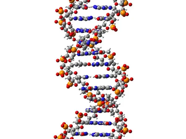 Deciphering the Meaning of “DW”: Unraveling the Enigma